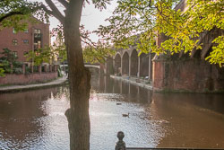 Bridgewater_Canal,_Manchester-255.jpg