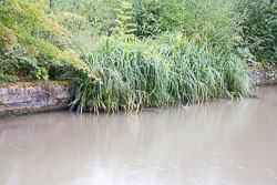 Oxford_Canal_North-110.jpg