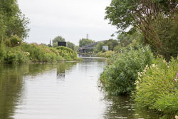 Trent_-_Mersey_Canal-238.jpg