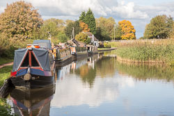 Trent_-_Mersey_Canal-366.jpg