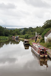 Trent_-_Mersey_Canal-462.jpg