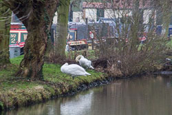 Leicester_Line-004.jpg