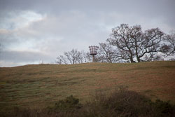 Leicester_Line-075.jpg