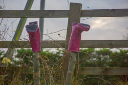 Leicester_Line-085.jpg
