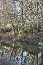 Leicester_Line_Market_Harborough_Branch-019.jpg
