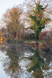 Leicester_Line_Market_Harborough_Branch-046.jpg