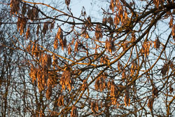 Leicester_Line_Market_Harborough_Branch-051.jpg