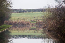 Leicester_Line_Welford_Arm-001.jpg