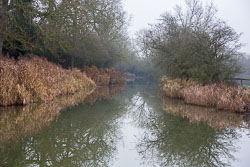 Leicester_Line_Welford_Arm-004.jpg