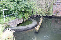 Grand_Union_Canal-1231.jpg