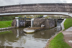 Grand_Union_Canal-668.jpg