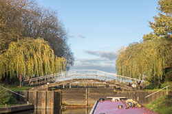 River_Avon-120.jpg