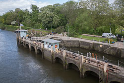 River_Thames-019.jpg