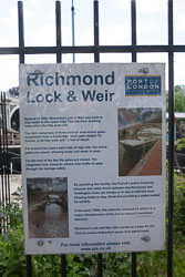River_Thames-023.jpg