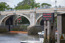 River_Thames-025.jpg