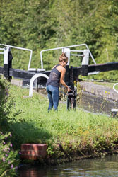 Rothersthorpe_Flight,_Northampton_Arm-013.jpg