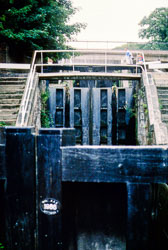 Shropshire_Union_Canal-548.jpg