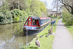 Oxford_Canal_South-359.jpg