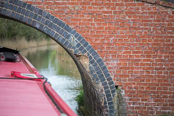 Oxford_Canal_South-488.jpg