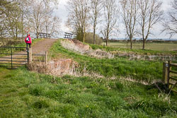 Pocklington_Canal-001.jpg