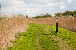 Pocklington_Canal-026.jpg