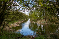Pocklington_Canal-034.jpg