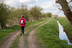 Pocklington_Canal-037.jpg