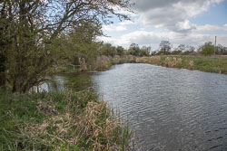Pocklington_Canal-039.jpg