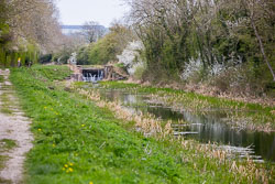 Pocklington_Canal-047.jpg