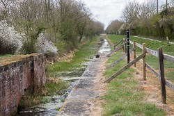 Pocklington_Canal-051.jpg