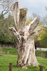 Pocklington_Canal-063.jpg