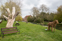 Pocklington_Canal-065.jpg