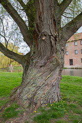 Pocklington_Canal-068.jpg