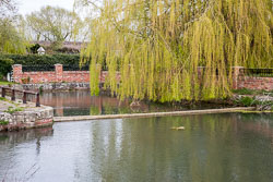 Pocklington_Canal-071.jpg