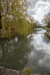 Pocklington_Canal-073.jpg