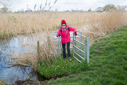 Pocklington_Canal-076.jpg