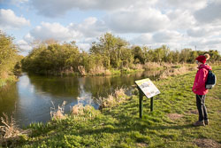 Pocklington_Canal-077.jpg