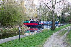 Pocklington_Canal-081.jpg