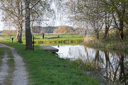 Pocklington_Canal-083.jpg