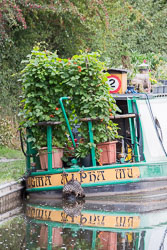 Coventry_Canal-143.jpg