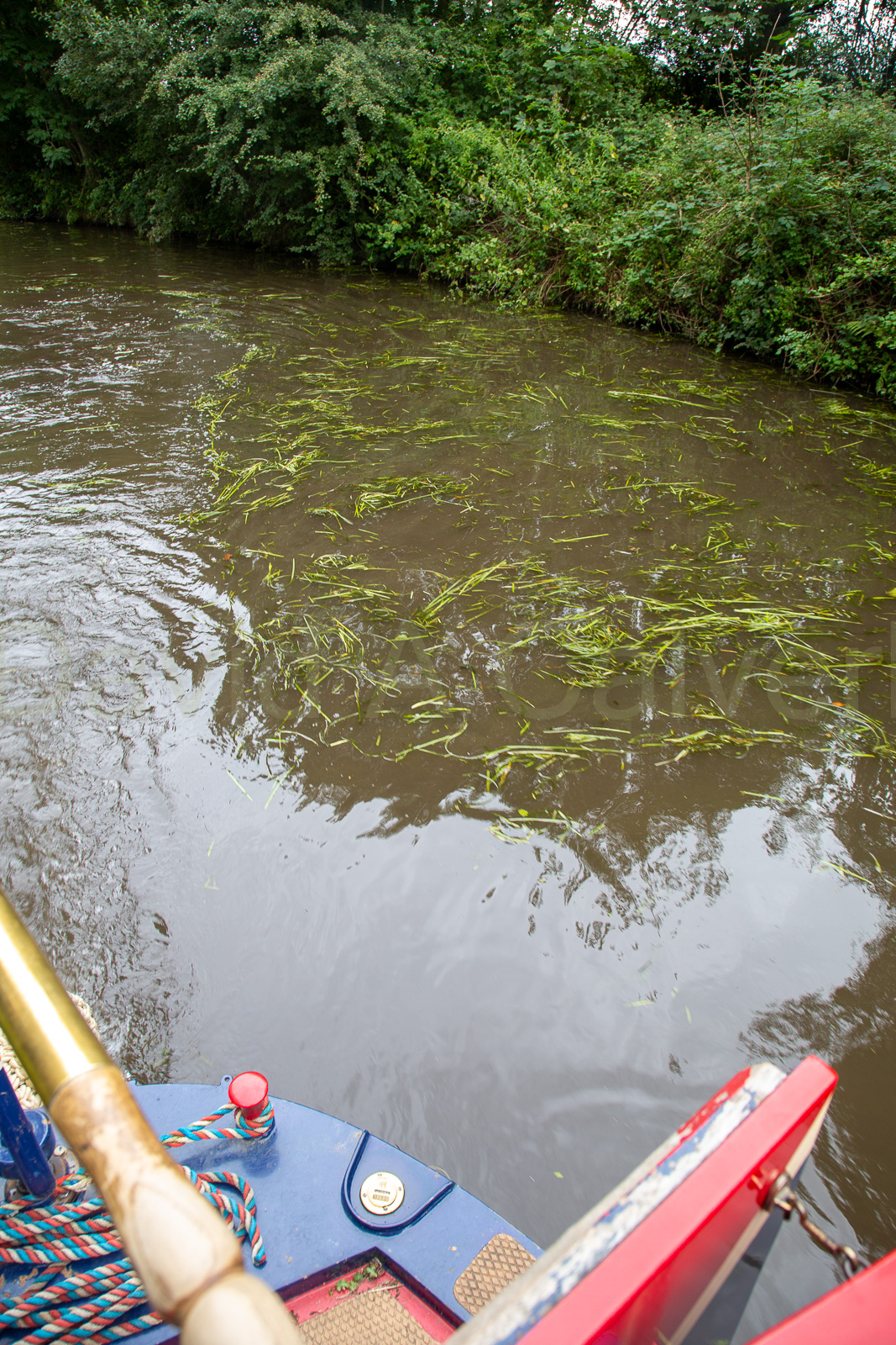 Staffs_-_Worcester_Canal-098.jpg