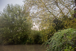 Stratford_Upon_Avon_Canal-069.jpg