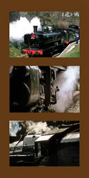 K-WVR_Train_Steam_-003.jpg
