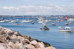 Brixham_077.jpg