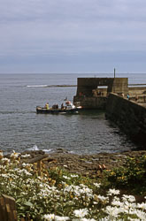 Craster_004.jpg