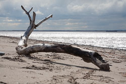 Spurn_Head-093.jpg
