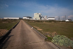 Dungeness--101.jpg