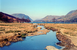 Galesgarthgale_Beck,_Lake_District_602.jpg