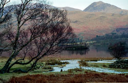 Lake_District_518.jpg