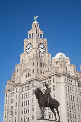 Liver-Building-005.jpg